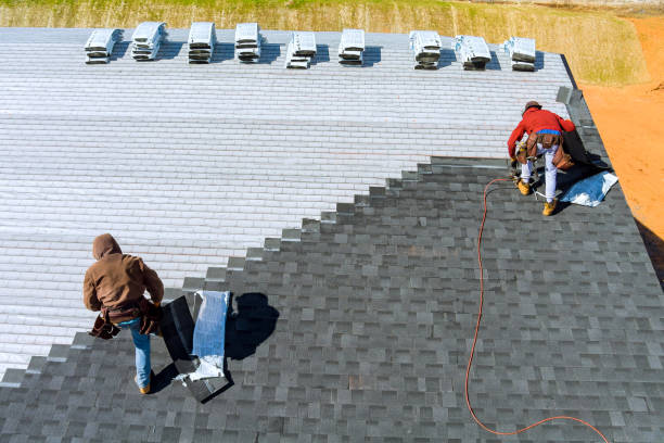 Best Roof Maintenance Services  in Brookdale, CA
