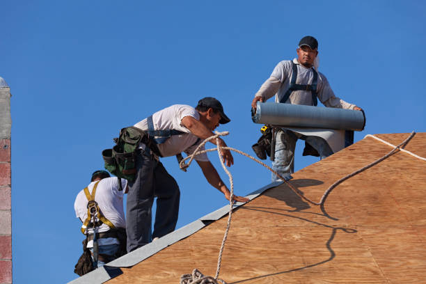 Best Emergency Roof Repair  in Brookdale, CA